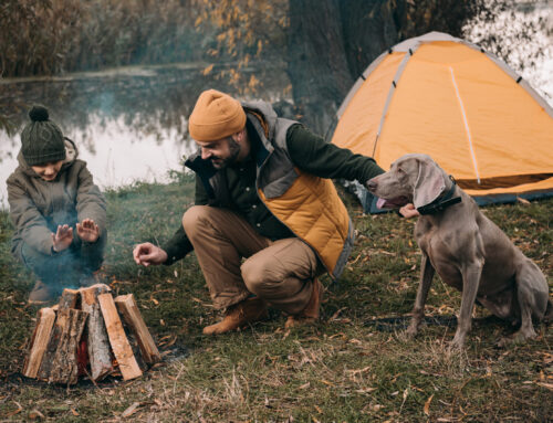 How to Build a Campfire and Teach Your Kids to Do It Safely