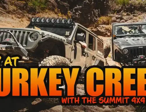 Day at Turkey Creek