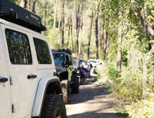 Trails 4 Tatas 2025 – Event Recap